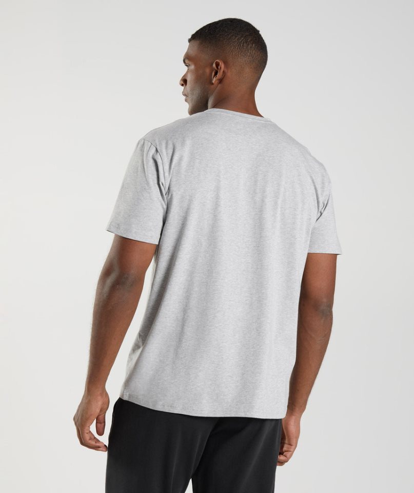 Men's Gymshark Block T-Shirts Light Grey | NZ 2VQJFP